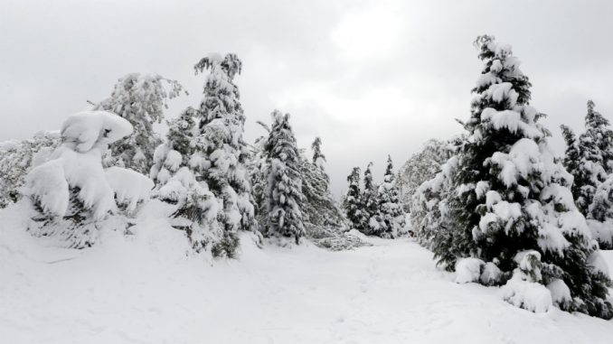 BiH: Pao prvi sneg na Romaniji i u Istočnom Drvaru 1