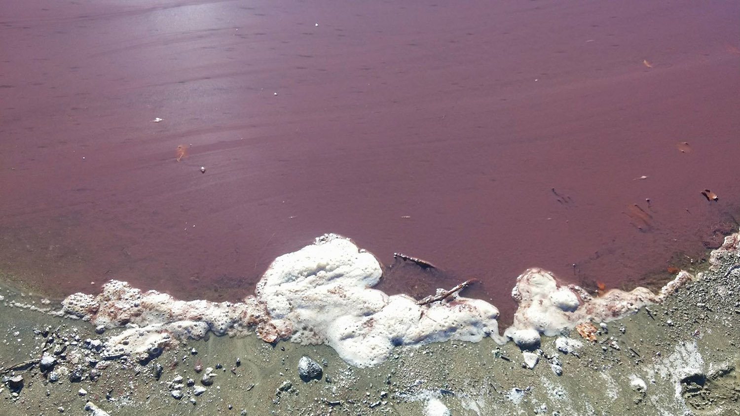 Užička vlast najavila krivičnu prijavu protiv biloškinje u JKP Vodovod 1