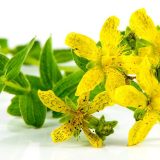 Korov koji leči depresiju 13