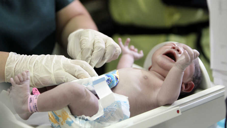 Nema političke volje za sankcionisanje kriminalne grupe 1