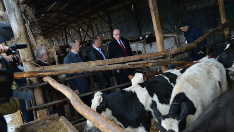 Za zadruge 825 miliona dinara u 2018. 1