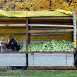 EU uvodi Srbiji carine za voće i povrće 12