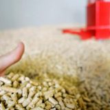 Biomasa u Srbiji vredi kao 3,4 miliona tona nafte 14