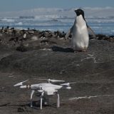 Ubrzano topljenje leda na Antartiku 3