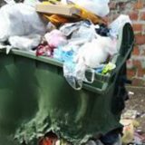 Problem sa đubretom u Košutnjaku 12