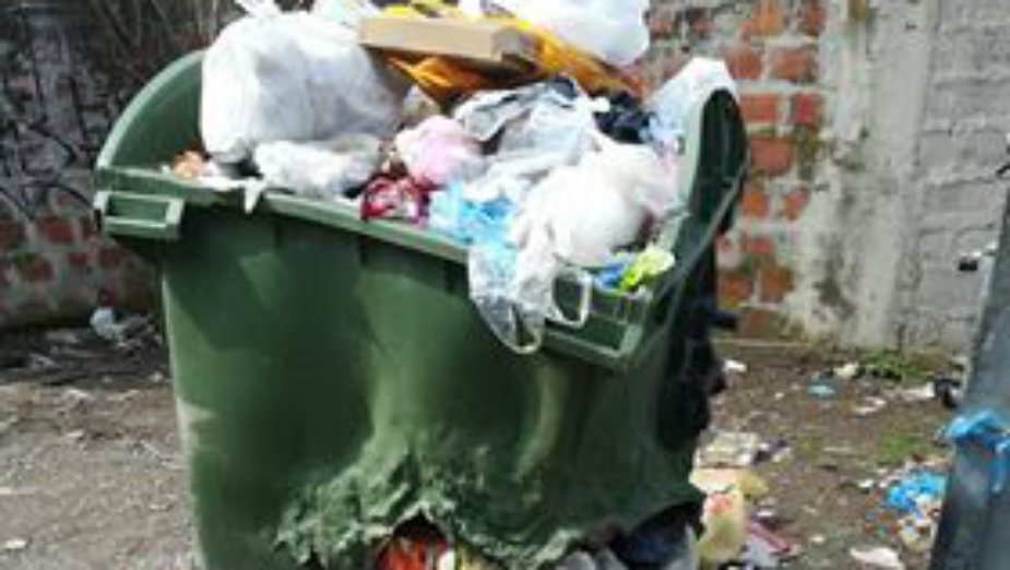 Problem sa đubretom u Košutnjaku 1