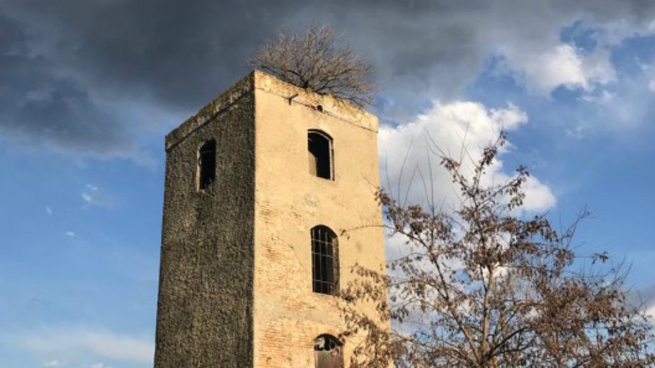 Drvo na vodotornju u Inđiji 1