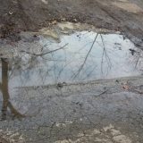 Prolećno "uređenje i popravke" u Novom Sadu 10