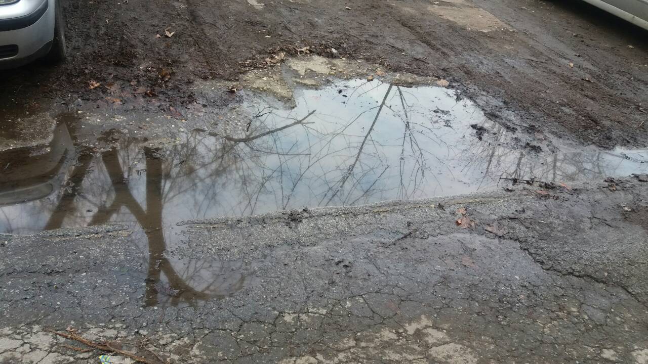 Prolećno "uređenje i popravke" u Novom Sadu 1