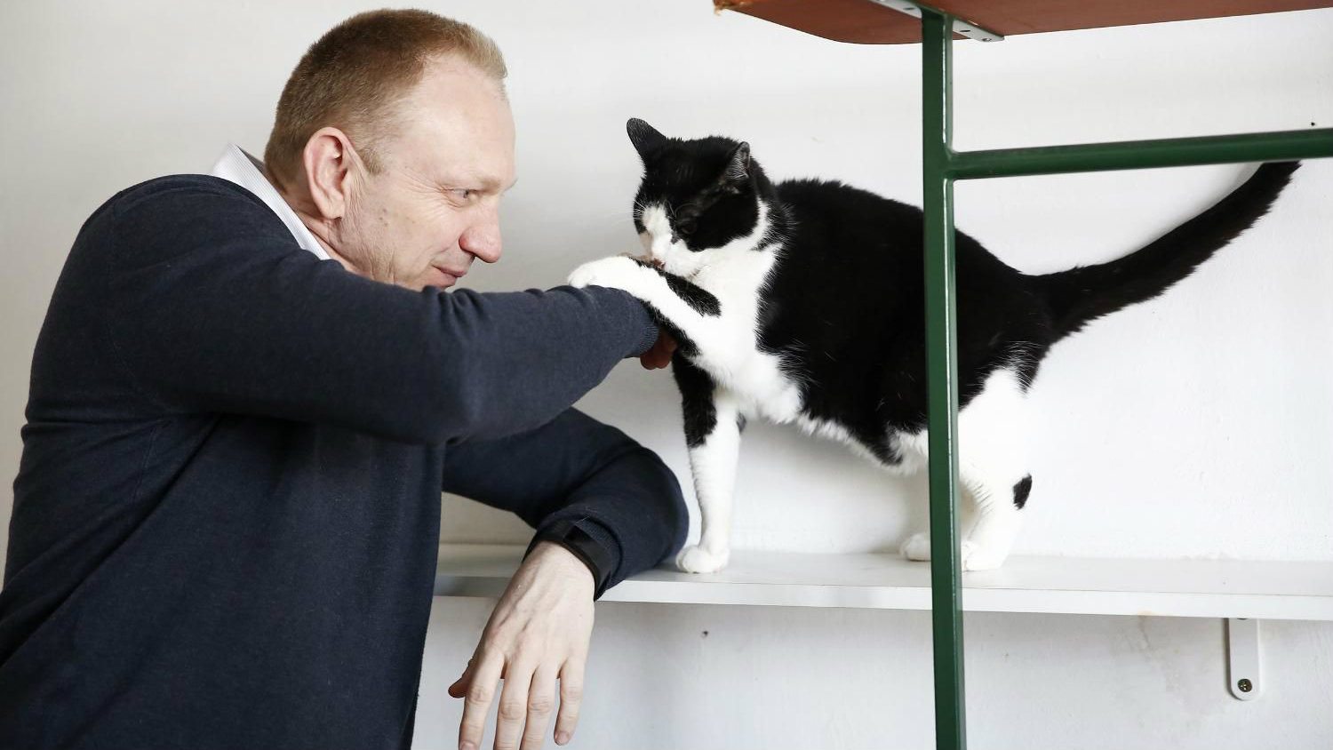 Đilas pozvao građane da pomognu životinjama na ulici 1