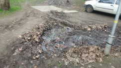 Prolećno "uređenje i popravke" u Novom Sadu 3