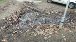 Prolećno "uređenje i popravke" u Novom Sadu 2