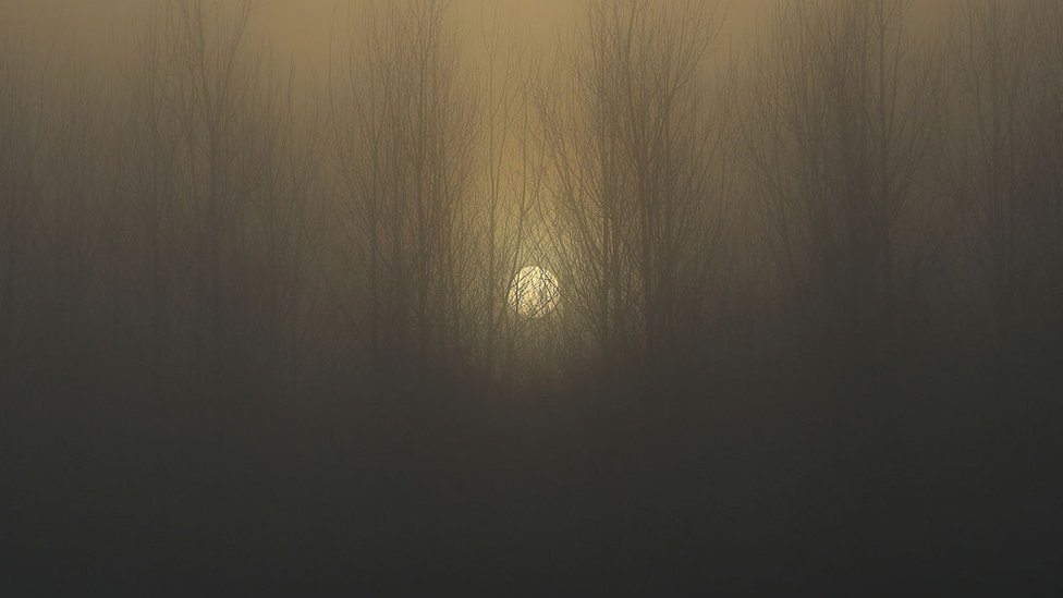 Zalazak sunca u šumi obavijenom maglom