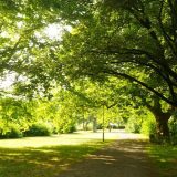 Topčider: Prvi park u Beogradu 8