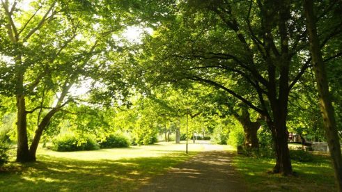 Topčider: Prvi park u Beogradu 9