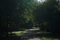 Topčider: Prvi park u Beogradu 3