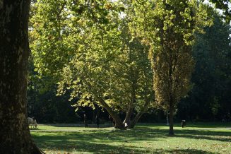 Topčider: Prvi park u Beogradu 6