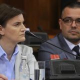 Brnabić: Er Srbija je zdravo i dobro 2
