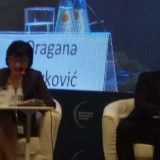 Kostić: MK plaća 100 miliona evra godišnje za poreze 6