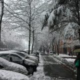 Ujutro moguća poledica, temperatura od -2 do 0 °C 8