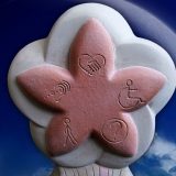 Afirmacija prava i mogućnosti osoba sa invaliditetom  5