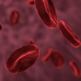 Kako napraviti veštačku krv 2