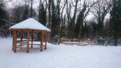 Bajfordova šuma: Prirodni raj u Beogradu 4