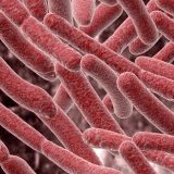 O susretu čoveka i klica 6