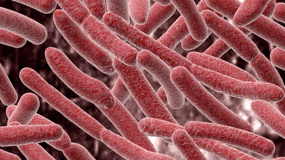 O susretu čoveka i klica 1