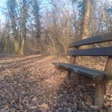 Bojčinska šuma između uživanja i borbe za slobodu 11