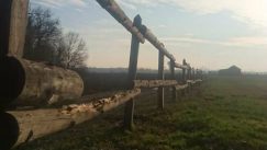 Bojčinska šuma između uživanja i borbe za slobodu 3