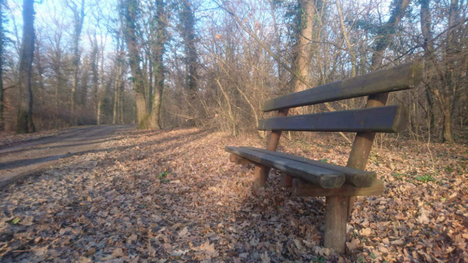 Bojčinska šuma između uživanja i borbe za slobodu 1