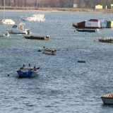 Lađari: Pojačati nadzor na rekama 4