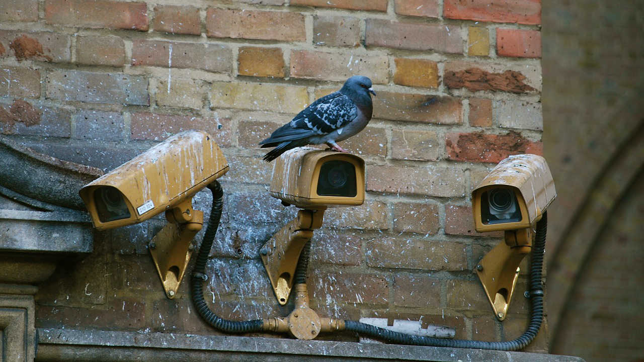 Sve više sajber špijunaže 1