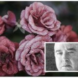 Preminuo Vojislav V. Jovanović (1940-2018) 5