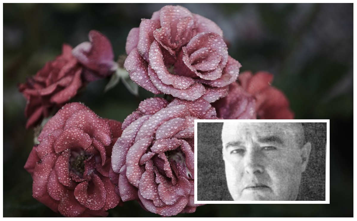 Preminuo Vojislav V. Jovanović (1940-2018) 1