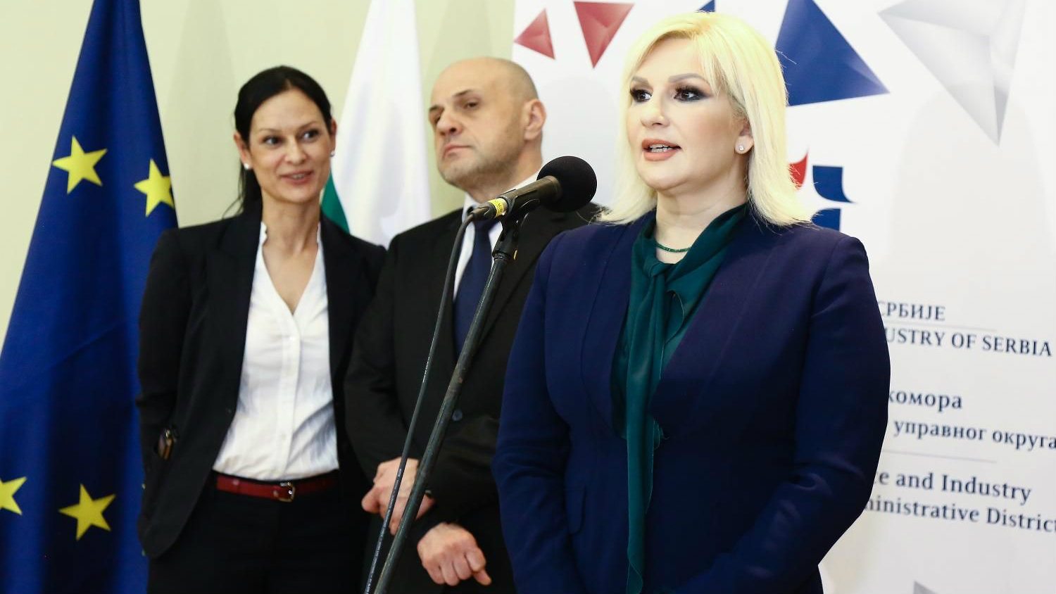 Mihajlović: Da ne delimo ko ima, ko nema dete 1