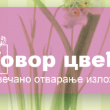 Izložba Govor cveća u Univerzitetskoj biblioteci u Beogradu 11