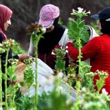 Žene još nemaju pravo glasa u svim državama 3