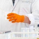 SZO: Čovečanstvo mora biti spremno za bolest iks 13