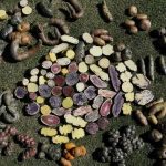 Putovanje po svetu u 300 slika 4 Putovanje po svetu u 300 slika 4