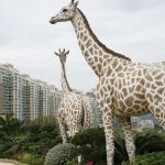 Putovanje po svetu u 300 slika 5 Putovanje po svetu u 300 slika 5