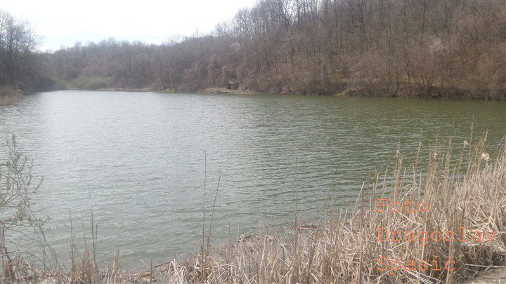 Jezero blizu Topole ostalo bez ribe 1