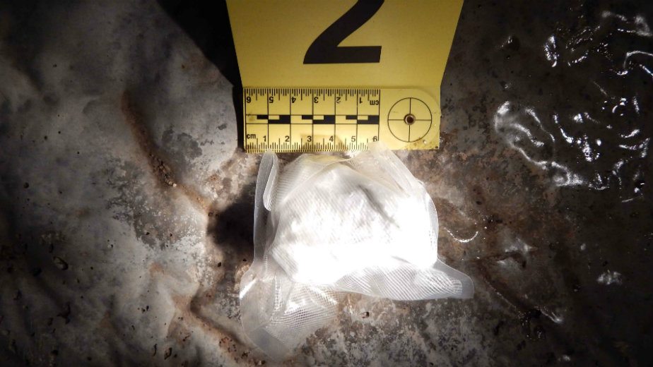 Pripadnici MUP-a u akciji "Aurora" uhapsili 270 osoba 1