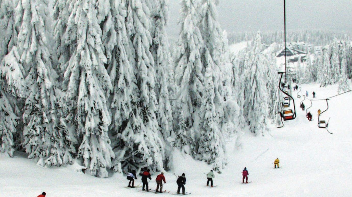 Danas - Kopaonik Biznis Forum (PDF) 1