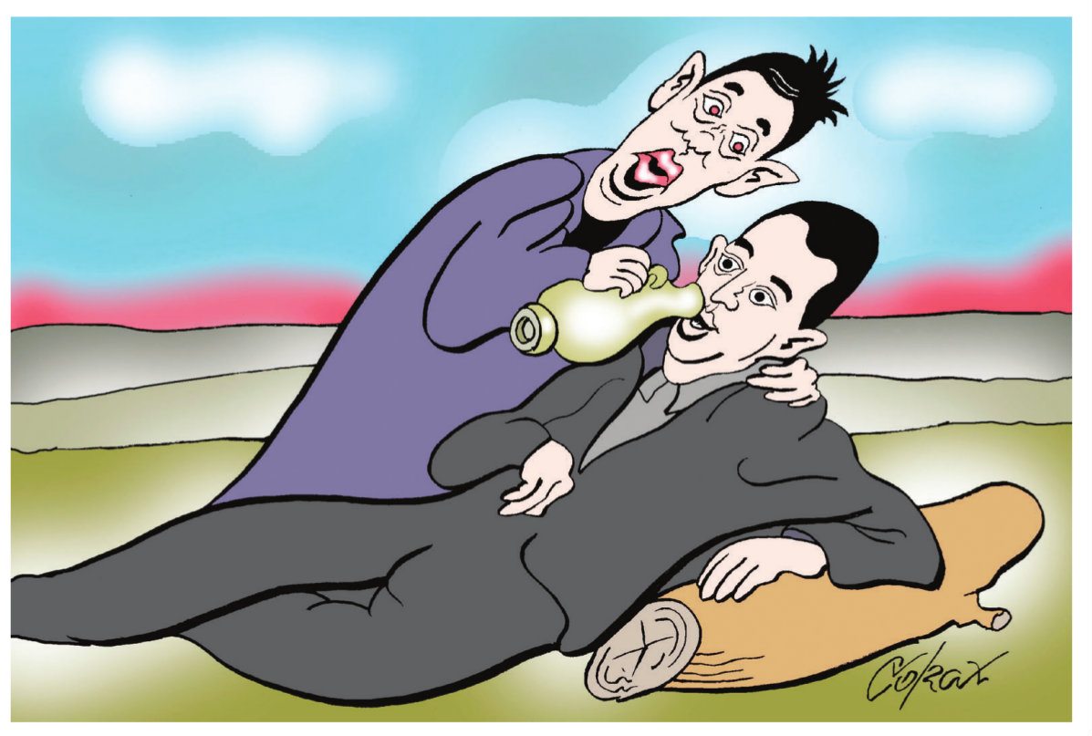 Corax 5