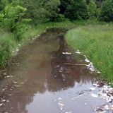 Sanacija starog korita Mlave 12