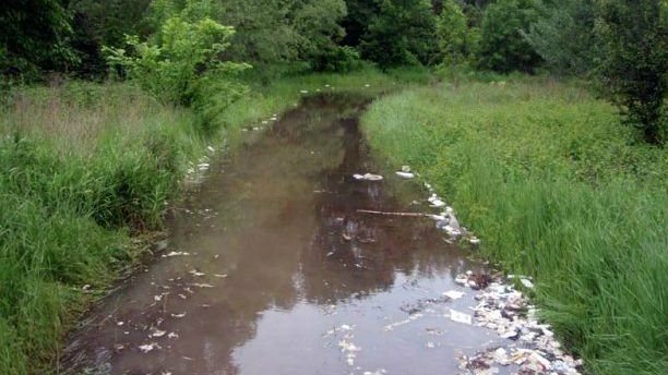 Sanacija starog korita Mlave 1