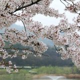 Prvi dan proleća, pomeranje sata 29. marta 6