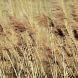 Pravo prolećno vreme, ali RHMZ poziva na oprez 12